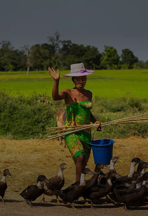 Traditions ancestrales et rites sacres